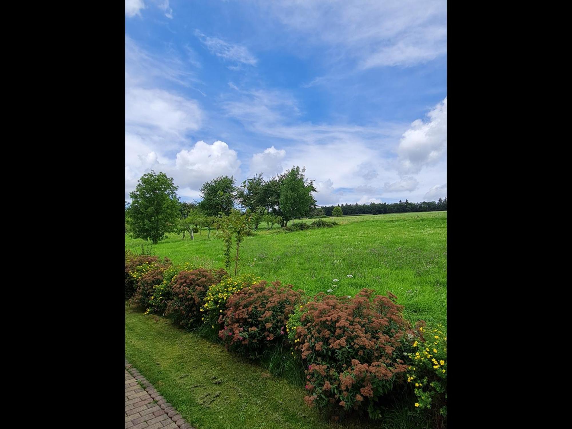 Neu Ferienwohnung Odenwald Rimhorn المظهر الخارجي الصورة